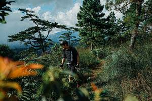 BIB: 
                            <button type="button" onclick="openModal(25260835)" class="btn btn-primary btn-sm float-right btn-popup" data-toggle="modal" data-target=".modal-high-quality">
                        <i class="fas fa-shopping-cart"></i> Add to Cart
                    </button>
                                            <button type="button" onclick="isThisMe(25260835, true)" class="btn btn-success btn-sm float-right btn-popup btn-isme hidden" data-toggle="tooltip" data-placement="bottom" title="นี่คือรูปของคุณใช่ไหม คลิกที่นี่เพื่อเอาเข้าอัลบั้ม">
                        <i class="fas fa-plus"></i> Add to album
                    </button>
                    <button type="button" onclick="isThisMe(25260835, false)" class="btn btn-warning btn-sm float-right btn-popup btn-isnotme hidden">
                        <i class="fas fa-ban"></i> Remove from album
                    </button>